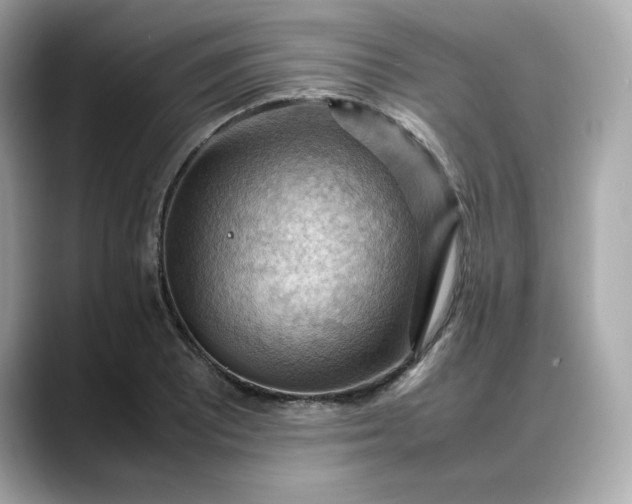 X0000088371081200706051037