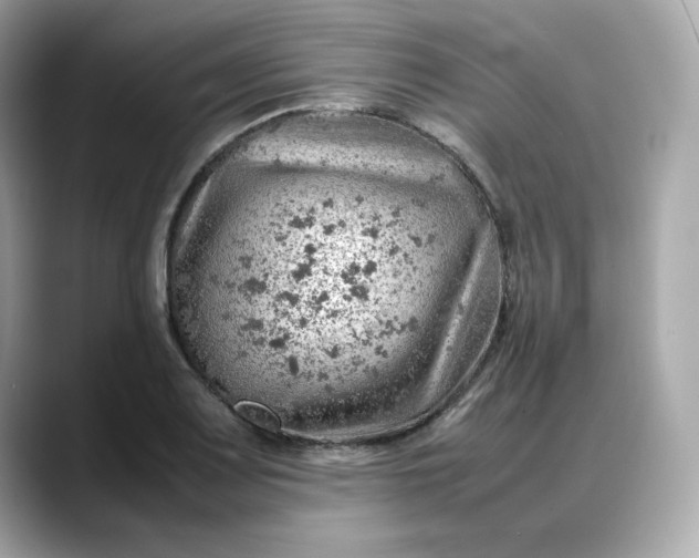 X0000088371083200706051037