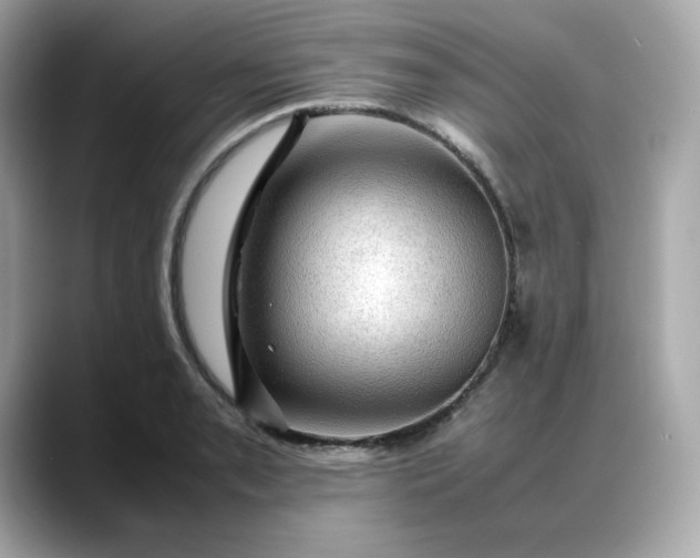 X0000088371085200706051037