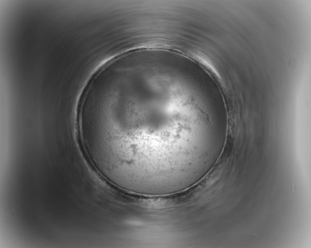 X0000088371087200706051037
