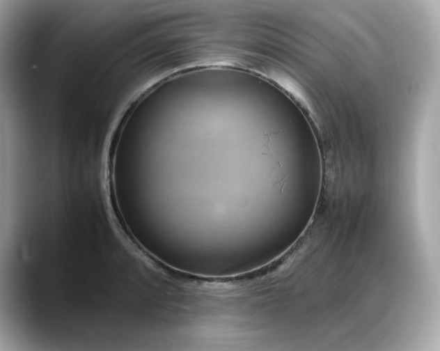 X0000088371088200706051037