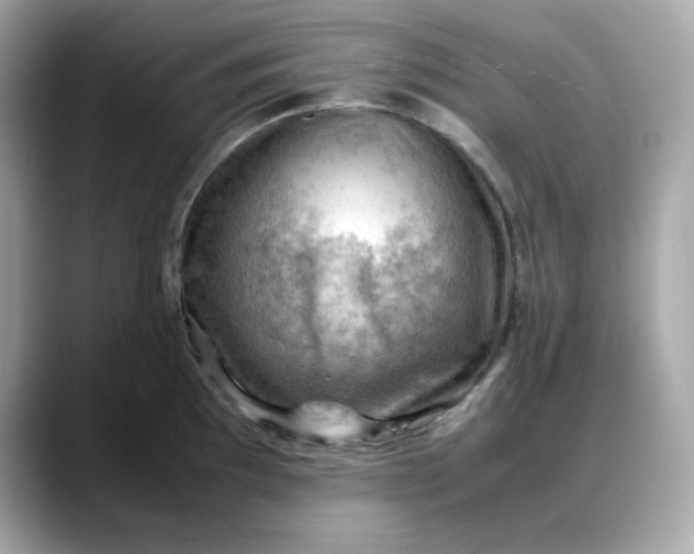 X0000088371097200706051037