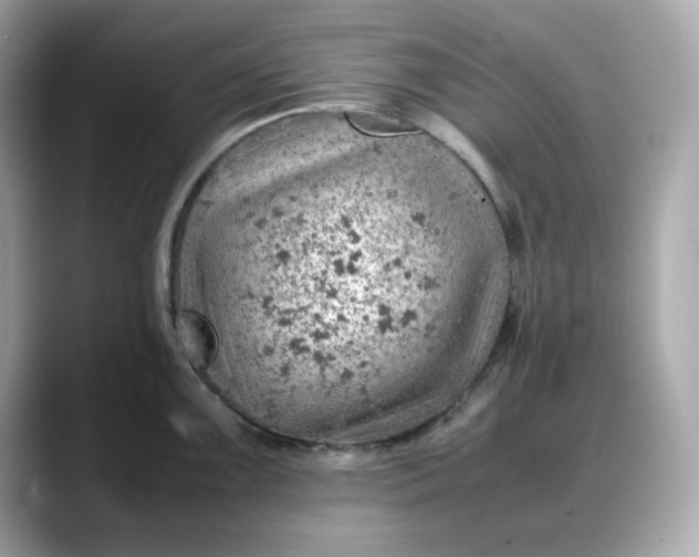 X0000088371099200706051037