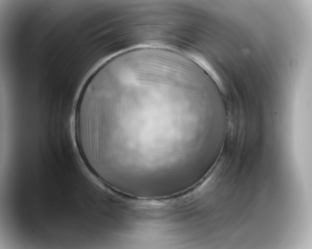 X0000088371100200706051037