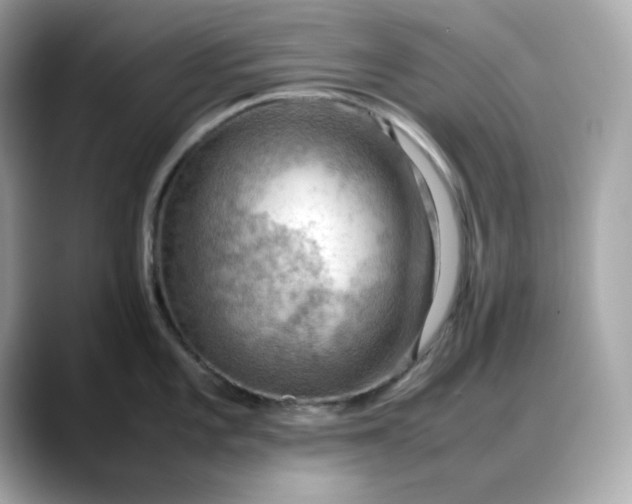 X0000088371101200706051037