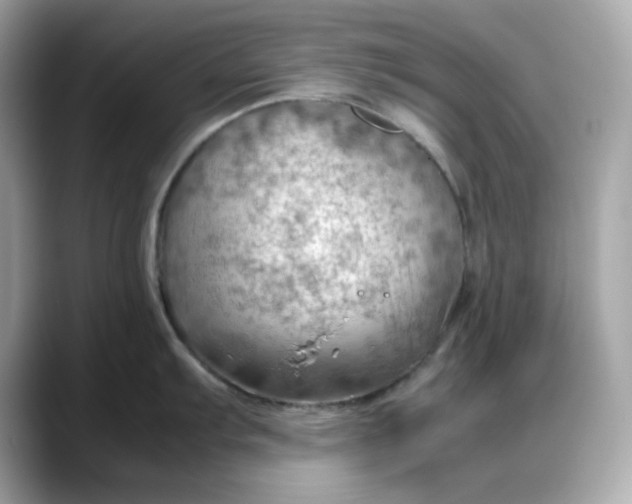 X0000088371103200706051037