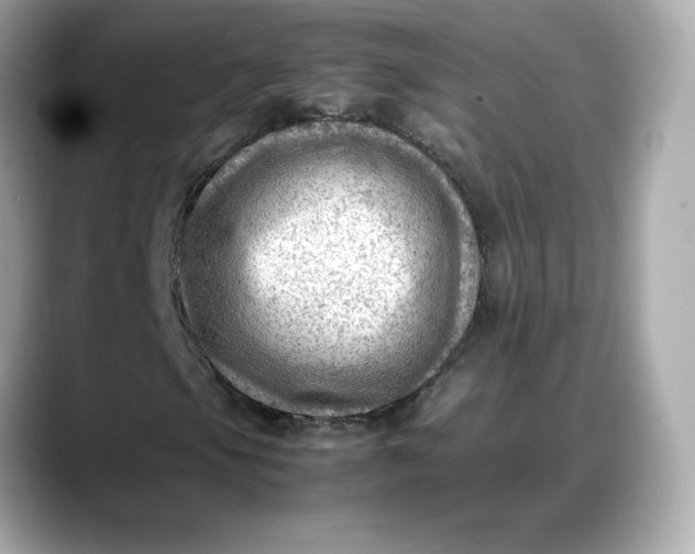 X0000088371105200706051036