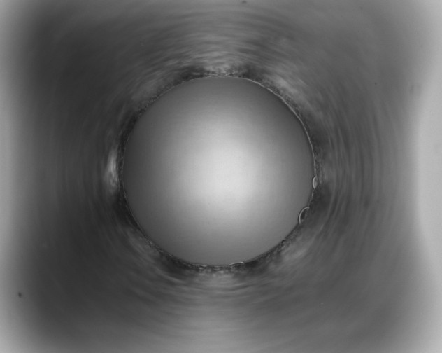 X0000088371106200706051036