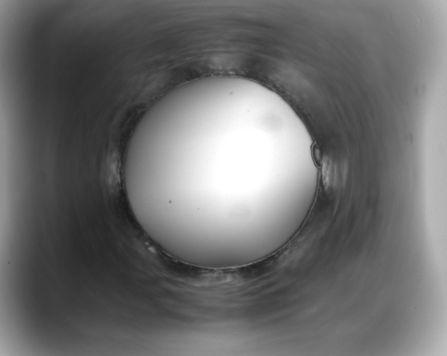 X0000088371107200706051036