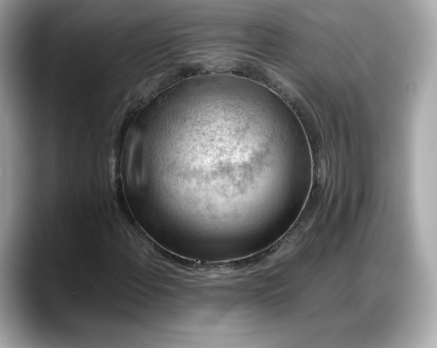 X0000088371108200706051036