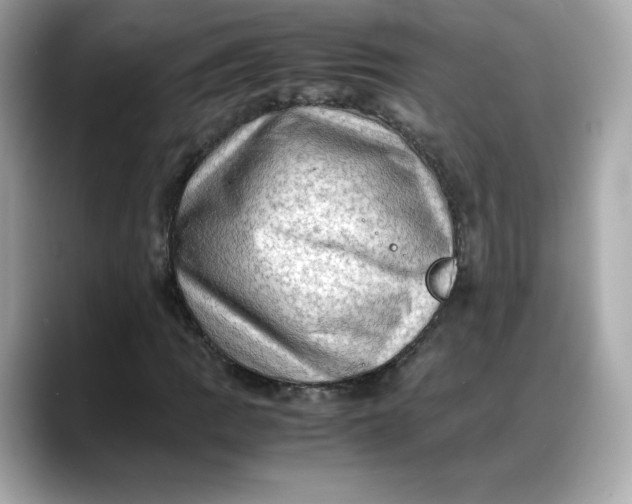 X0000088371109200706051036