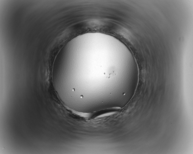 X0000088371111200706051036