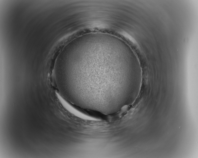 X0000088371112200706051036