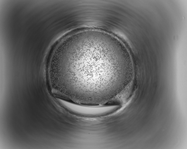 X0000088371114200706051036