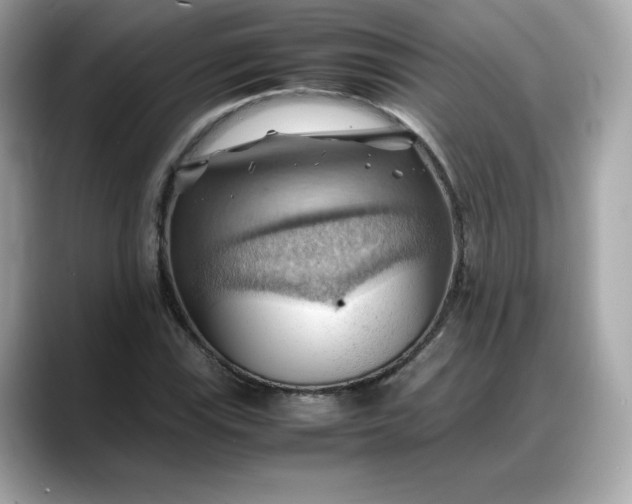 X0000088371115200706051036