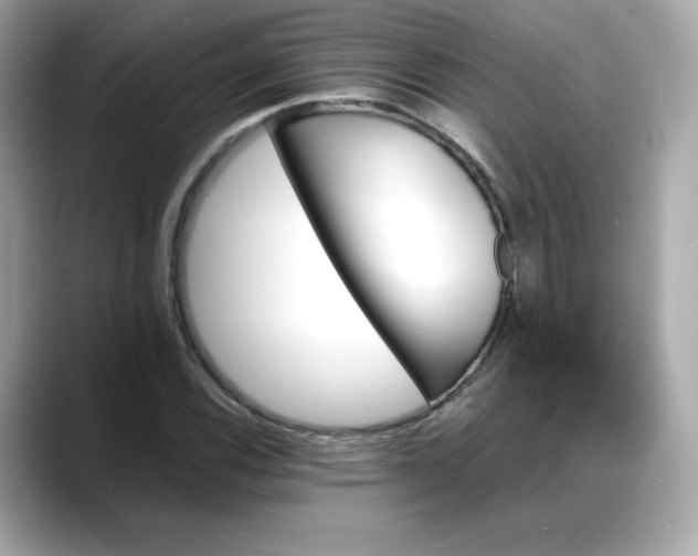 X0000088371116200706051036