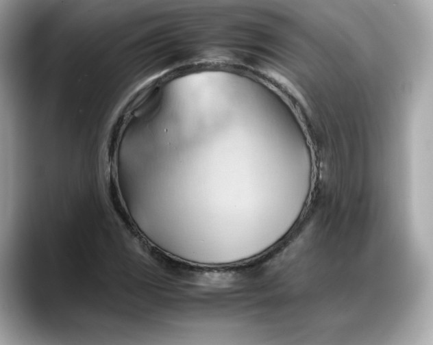 X0000088371117200706051036
