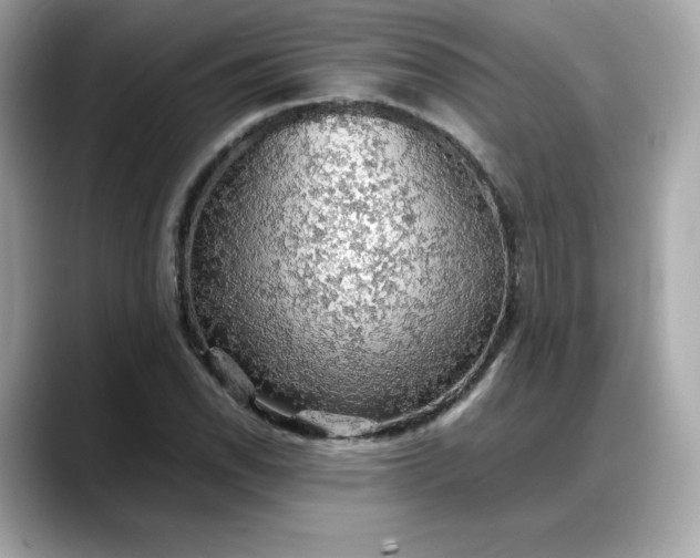 X0000088371118200706051036