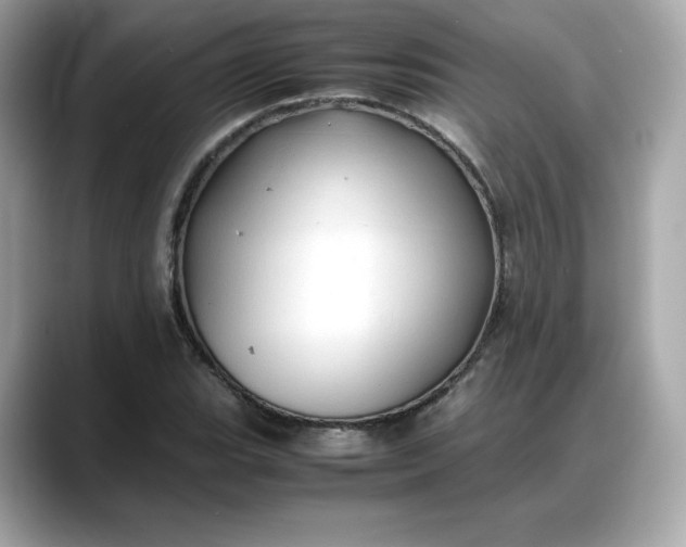 X0000088371119200706051036