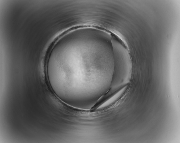 X0000088371120200706051036