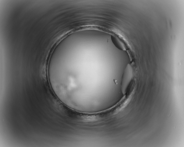 X0000088371121200706051036