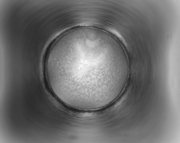 X0000088371122200706051036