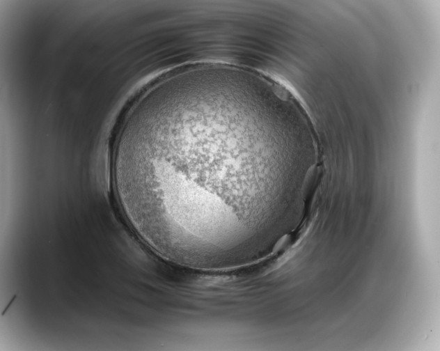 X0000088371123200706051036