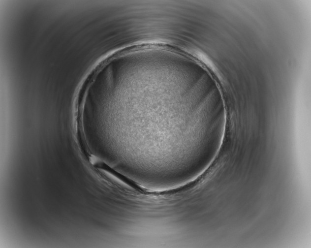 X0000088371124200706051036