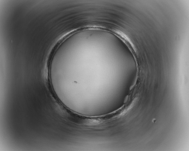X0000088371125200706051036