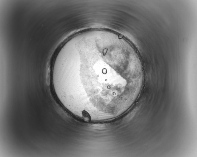 X0000088371126200706051036