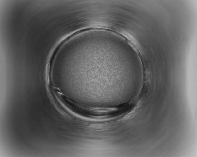 X0000088371128200706051036