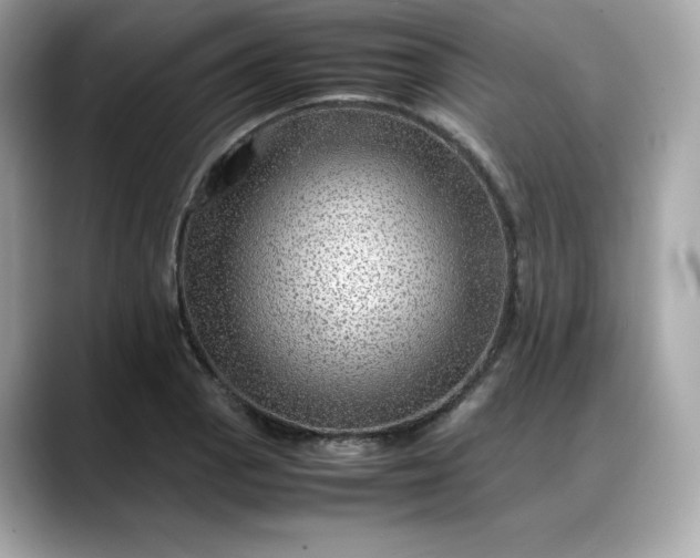 X0000088371129200706051036