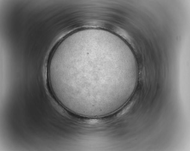 X0000088371130200706051036