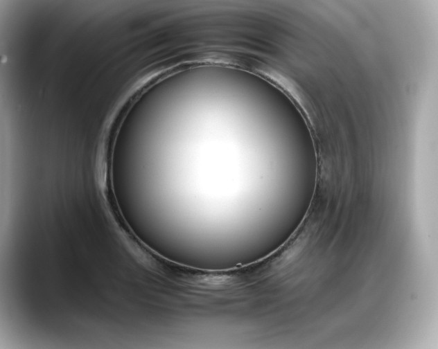 X0000088371131200706051036