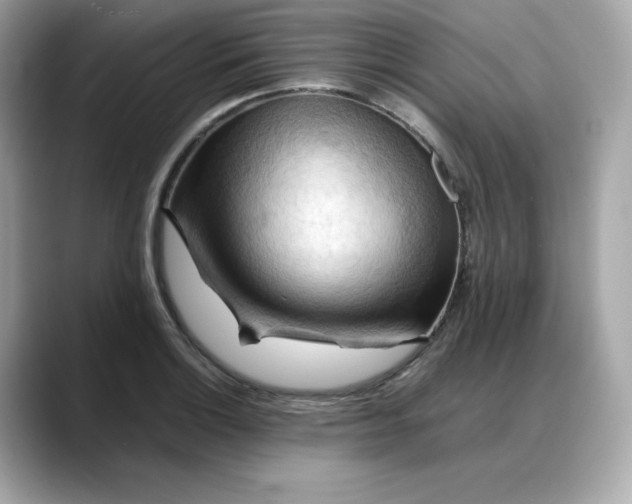 X0000088371132200706051036