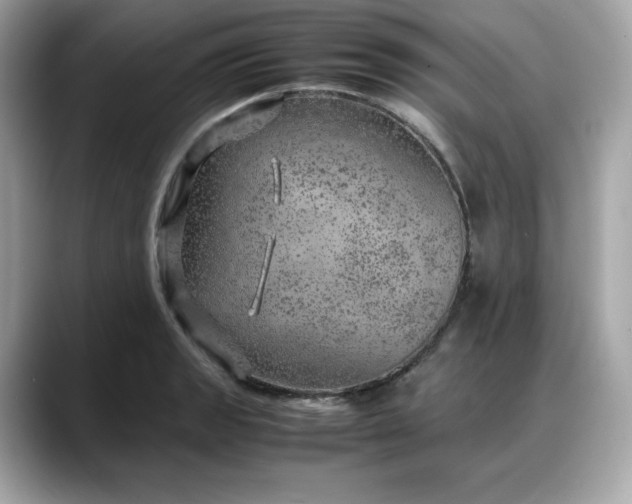 X0000088371133200706051036