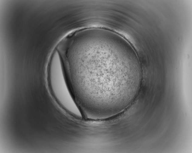 X0000088371134200706051036