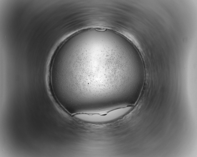 X0000088371136200706051036