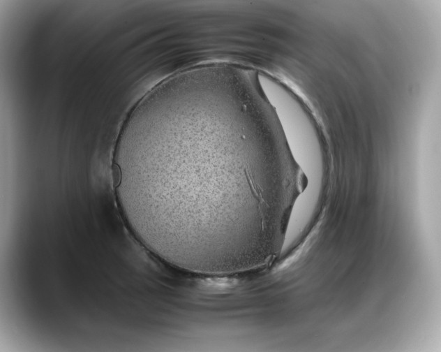 X0000088371137200706051037