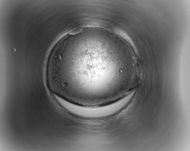 X0000088371138200706051037