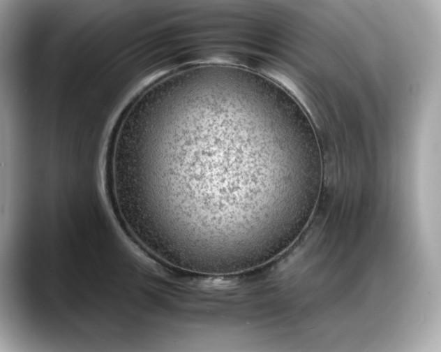 X0000088371139200706051037