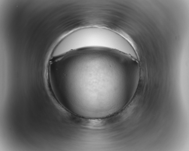 X0000088371144200706051037