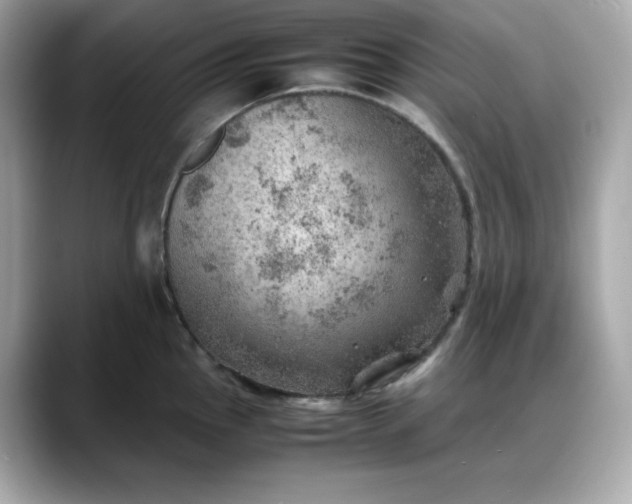 X0000088371145200706051037
