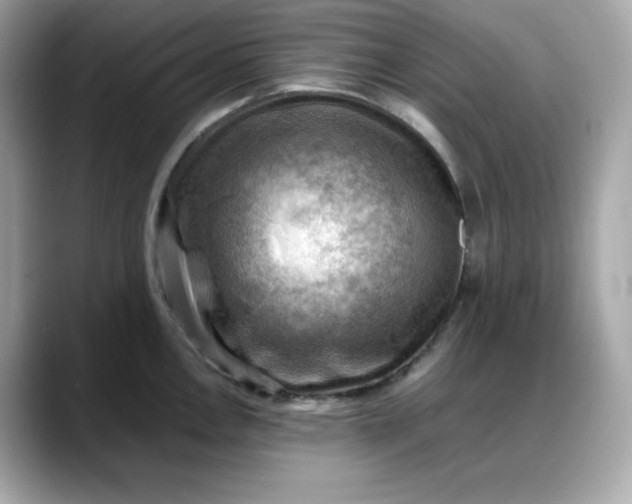 X0000088371146200706051037