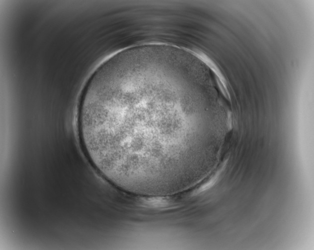 X0000088371149200706051037