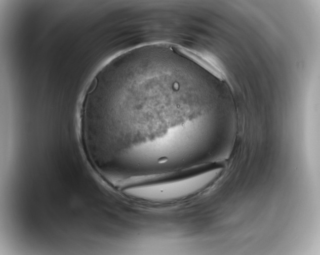 X0000088371151200706051037
