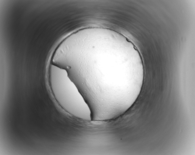 X0000088371152200706051037