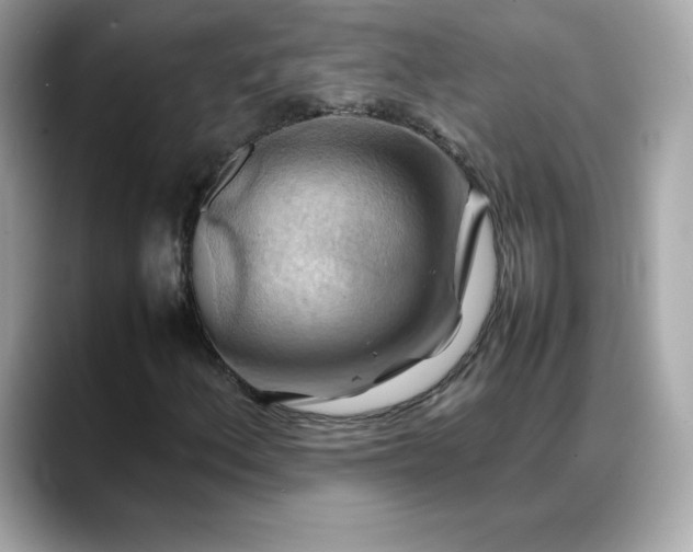 X0000088371156200706051036