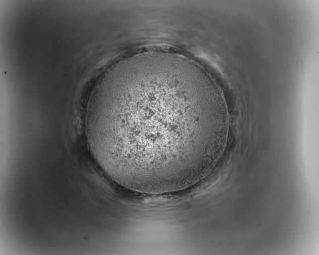 X0000088371159200706051036