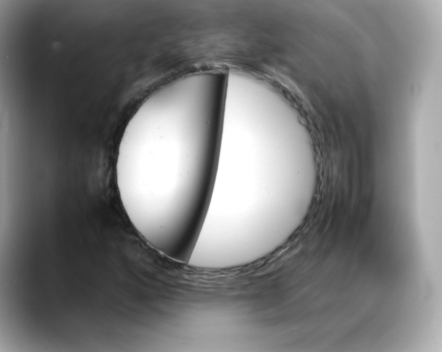 X0000088371160200706051036